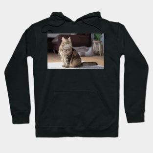 Maine Coon Cat Digital Painting Hoodie